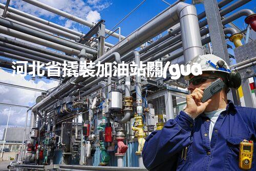 河北省撬裝加油站關(guān)鍵技術(shù)突破！化工廠拆除工程的新方法探索？